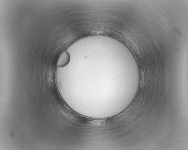 X0000116780126200912171318