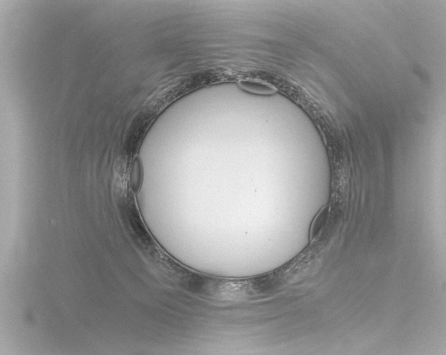 X0000116780129200912171318