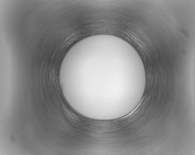 X0000116780136200912171317