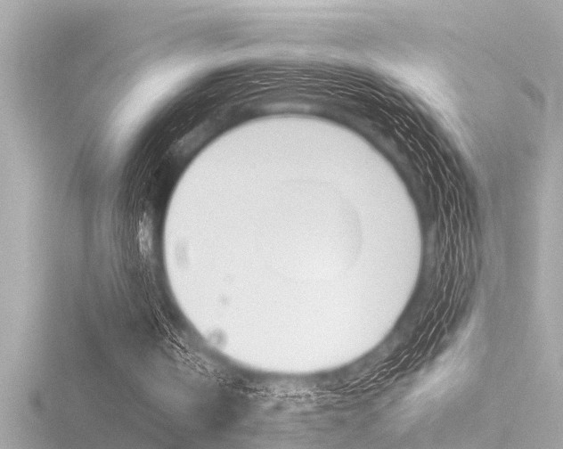 X0000116780146200912171317