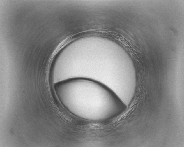 X0000116780150200912171317