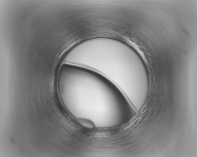 X0000116780154200912171317