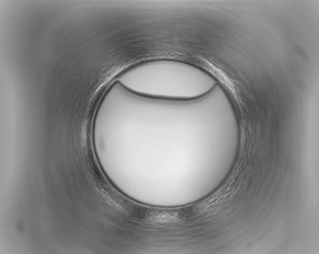 X0000116780155200912171317