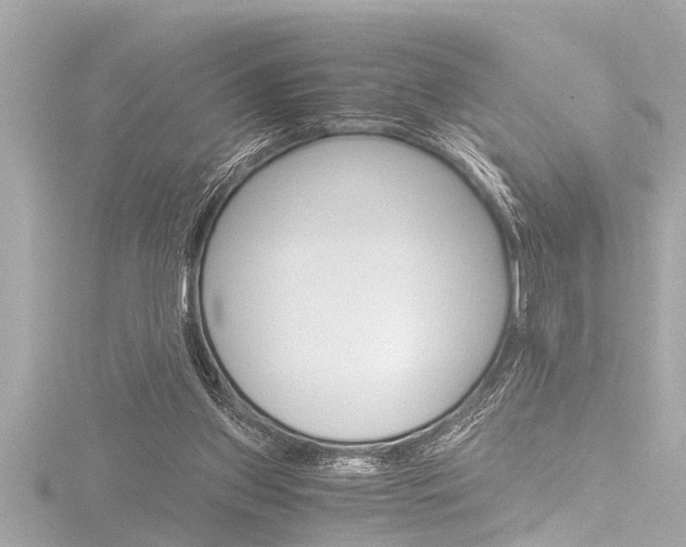 X0000116780157200912171317