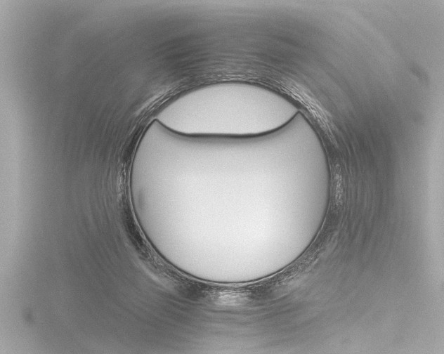 X0000116780165200912171317