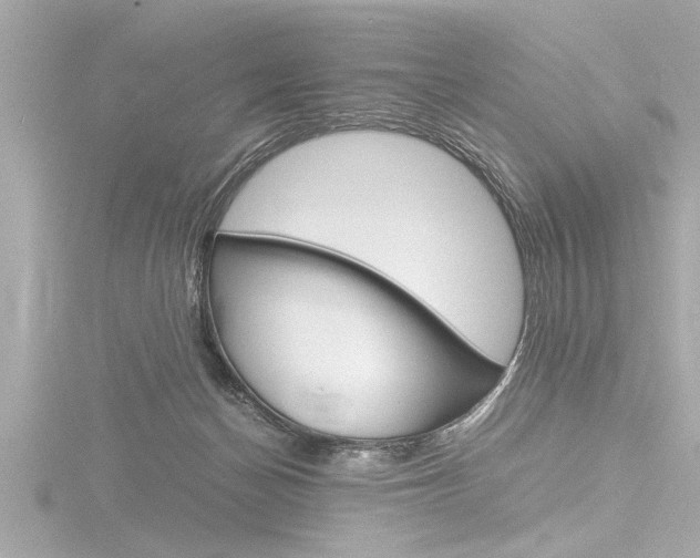 X0000116780174200912171317