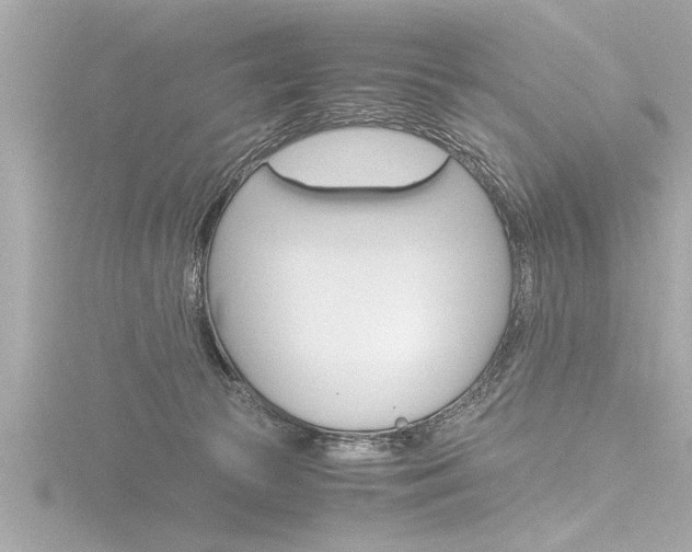 X0000116780177200912171317