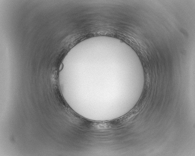 X0000116780181200912171317
