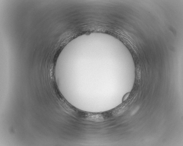 X0000116780185200912171317