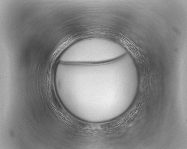 X0000116780194200912171317
