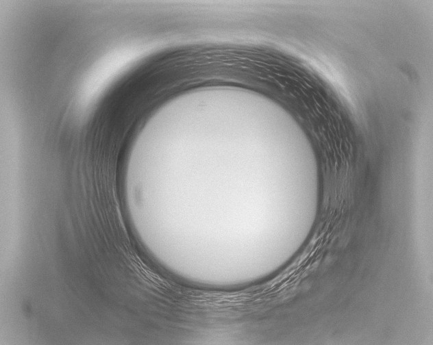 X0000116780195200912171317