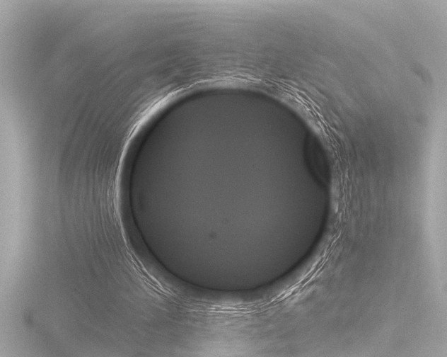 X0000116780196200912171317