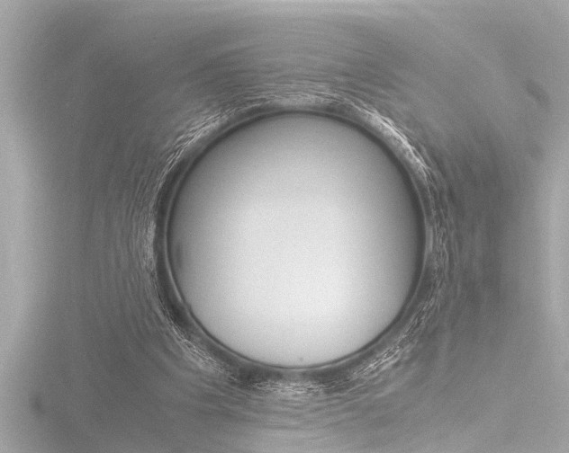 X0000116780201200912171317