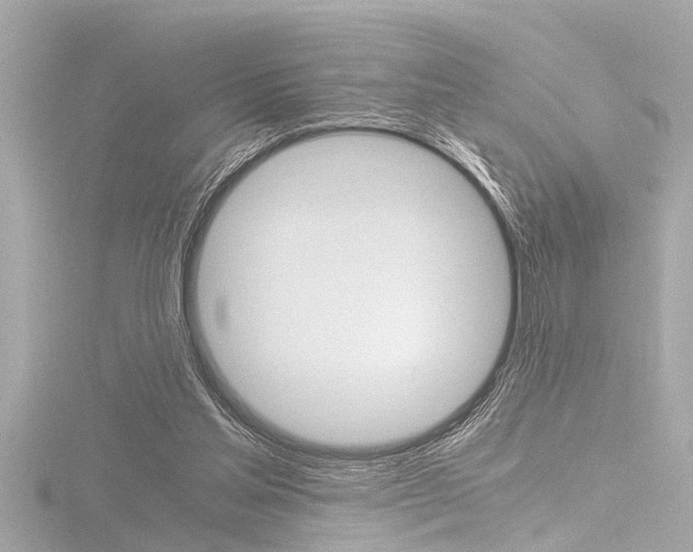 X0000116780205200912171317
