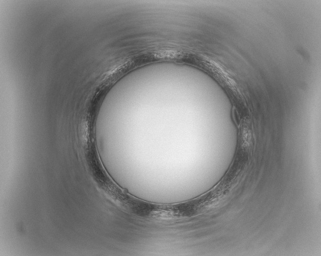 X0000116780211200912171316