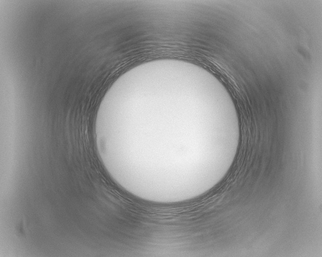X0000116780221200912171316