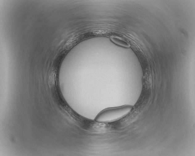X0000116780227200912171316