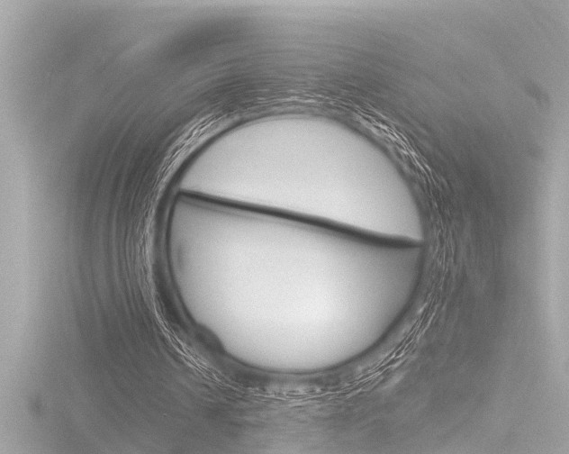 X0000116780242200912171316