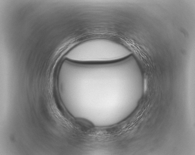 X0000116780243200912171316