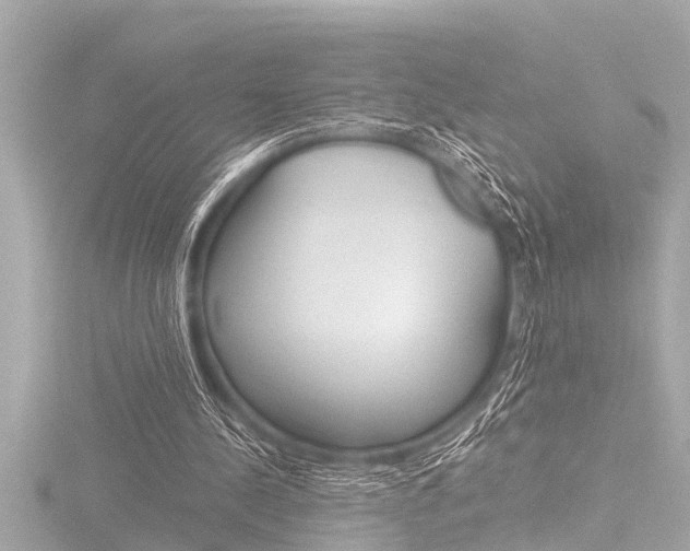 X0000116780244200912171316