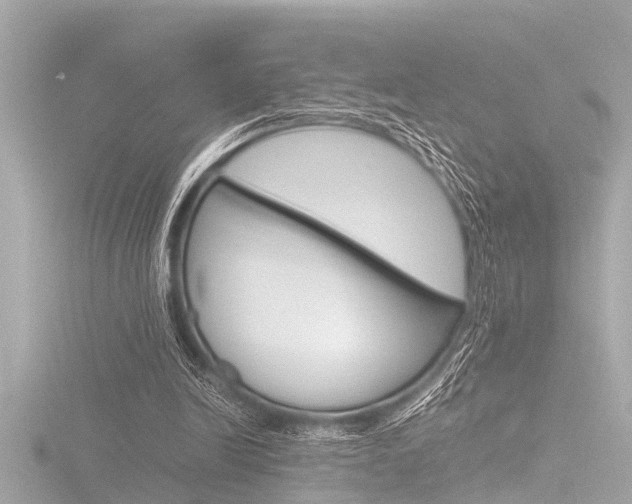 X0000116780246200912171316