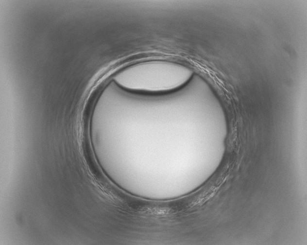 X0000116780247200912171316