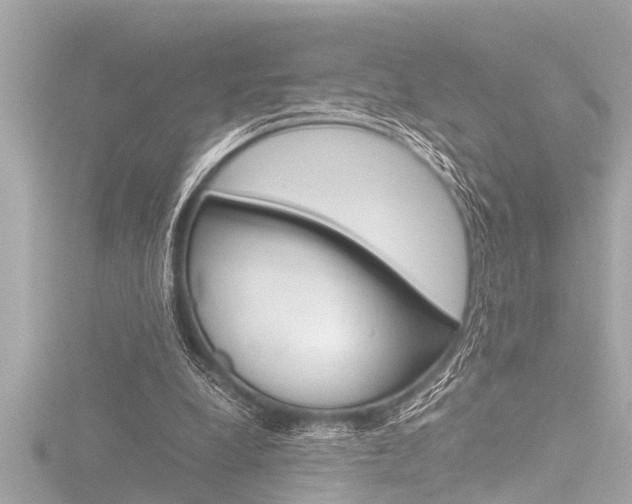 X0000116780248200912171316