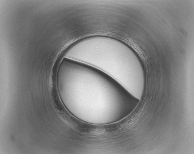 X0000116780252200912171316