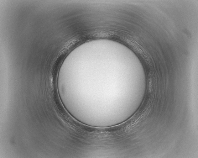 X0000116780254200912171316