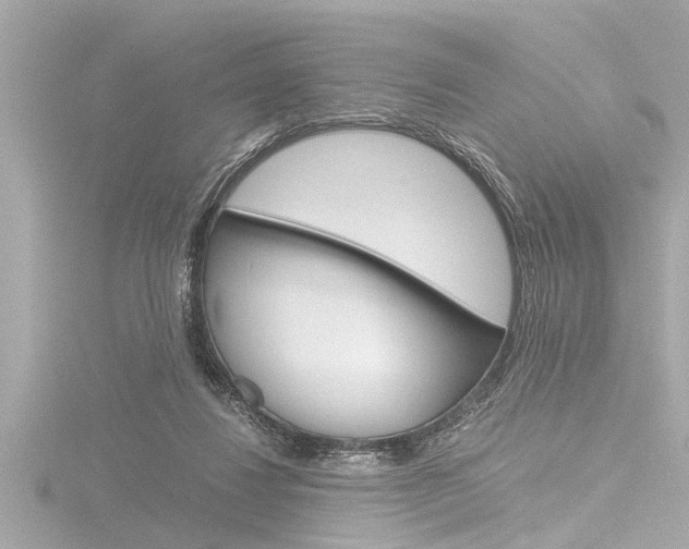 X0000116780260200912171316