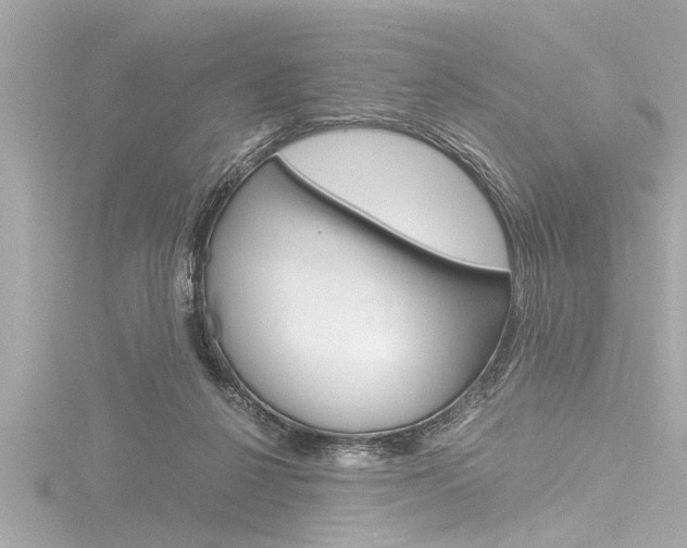 X0000116780264200912171316
