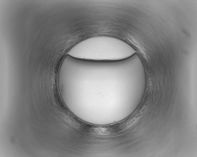 X0000116780265200912171316