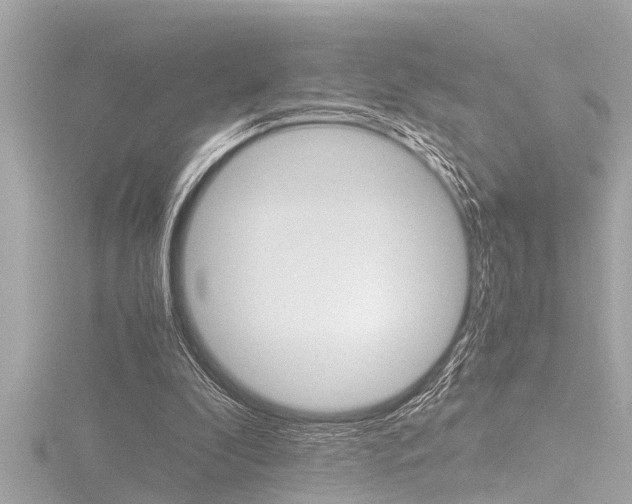 X0000116780296200912171315
