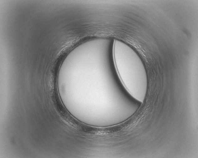 X0000116780303200912171315