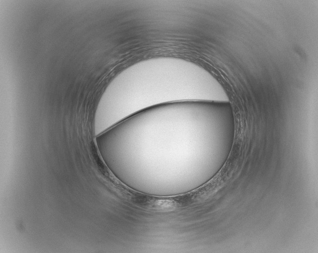 X0000116780324200912171315