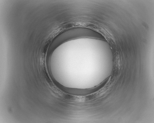 X0000116780328200912171315