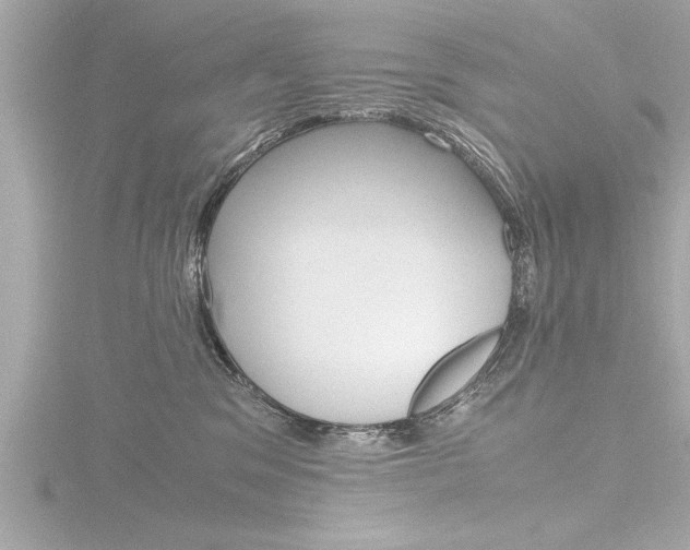 X0000116780329200912171315