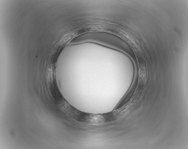 X0000116780333200912171315