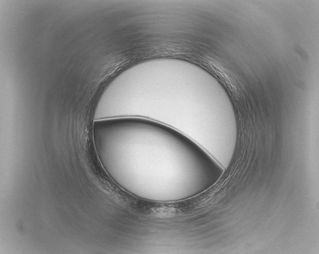 X0000116780362200912171315