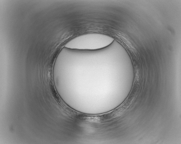 X0000116780363200912171315