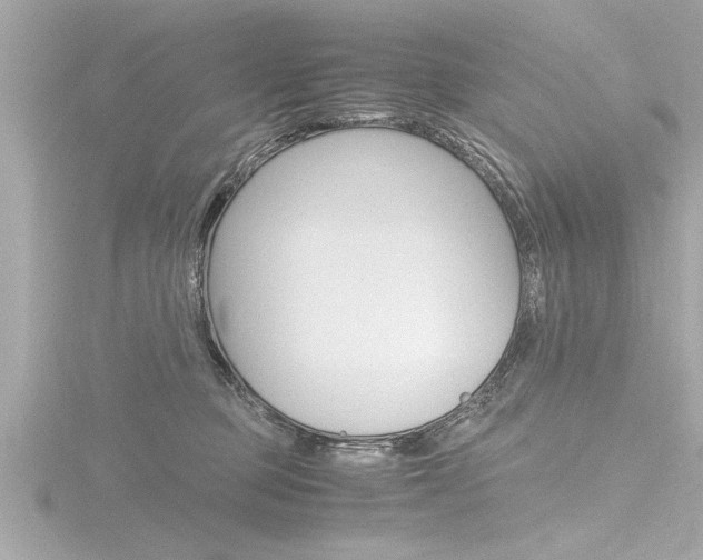 X0000116780373200912171315