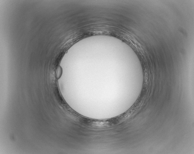 X0000116780375200912171315