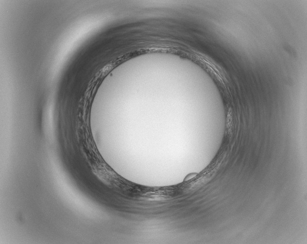 X0000116780381200912171315