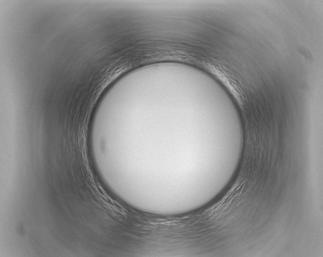 X0000116780386200912171314
