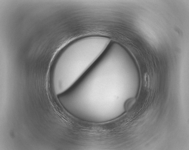 X0000116780388200912171314