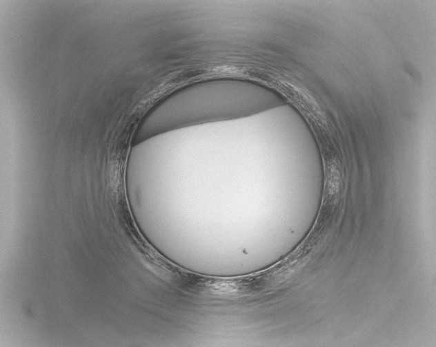 X0000116780409200912171314