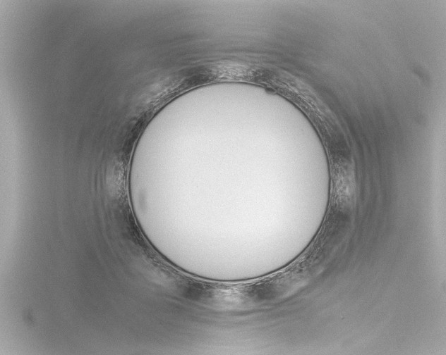 X0000116780411200912171314