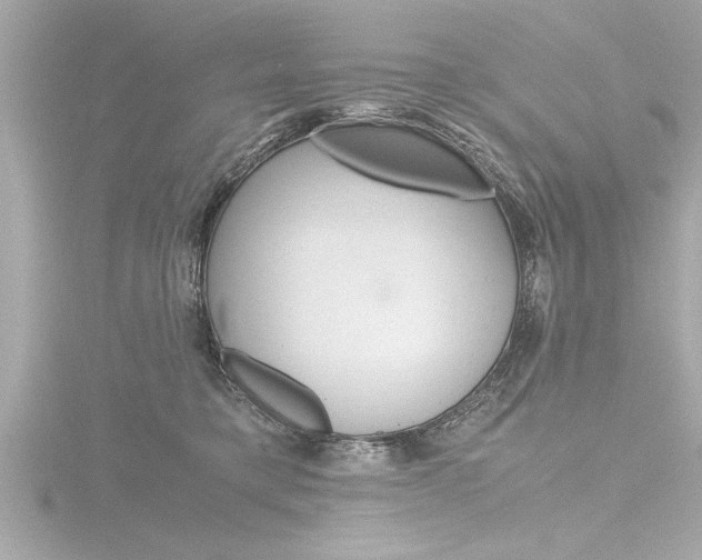 X0000116780421200912171314
