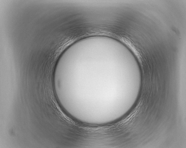 X0000116780433200912171313