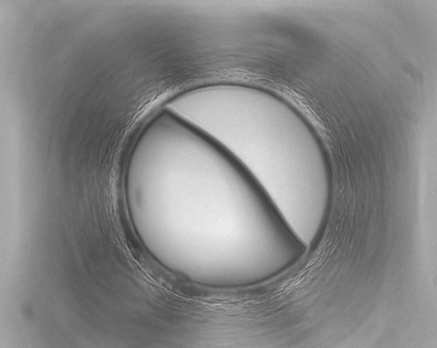 X0000116780434200912171313